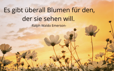 Es gibt überall Blumen für den, der sie sehen will.